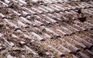 Ingerthorpe roof cleaning companies