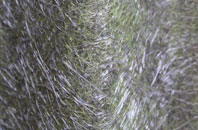 Ingerthorpe fibreglass roof work